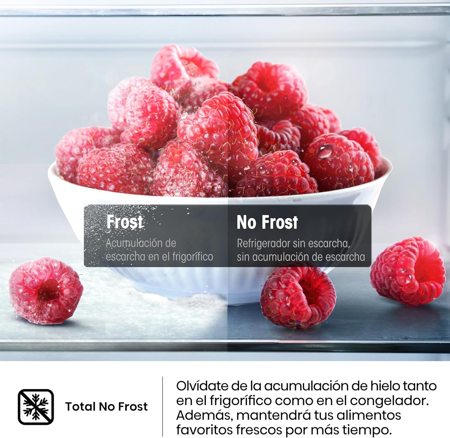 Thumbnail 4 de Hisense FV191N4AW2 congelador 147 l