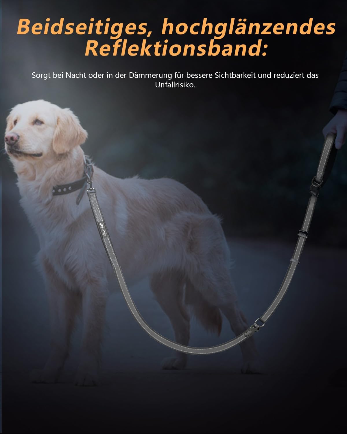 Thumbnail 6 de WANFIRE Freihandleinen Hundeleine für Große bis Mittelgroße Hunde – 1,8–2,9 m mit Sicherheitsgurt und Reflektoren