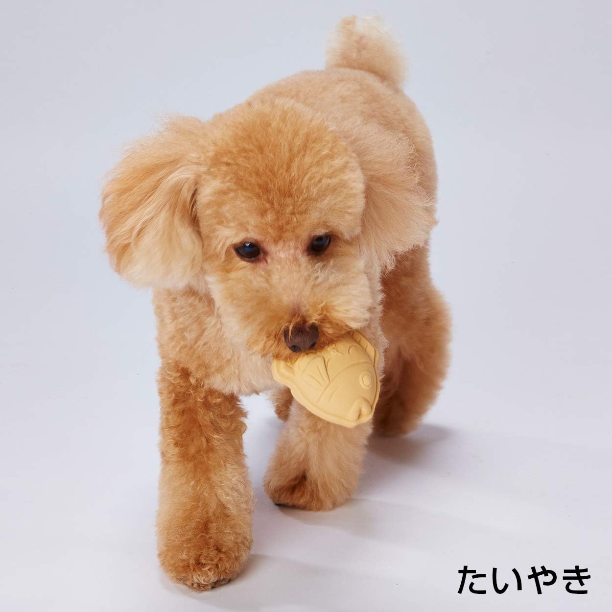 Thumbnail 3 de ペティオ 犬雅 和菓子ラテックス 三色だんご 犬用噛むおもちゃ