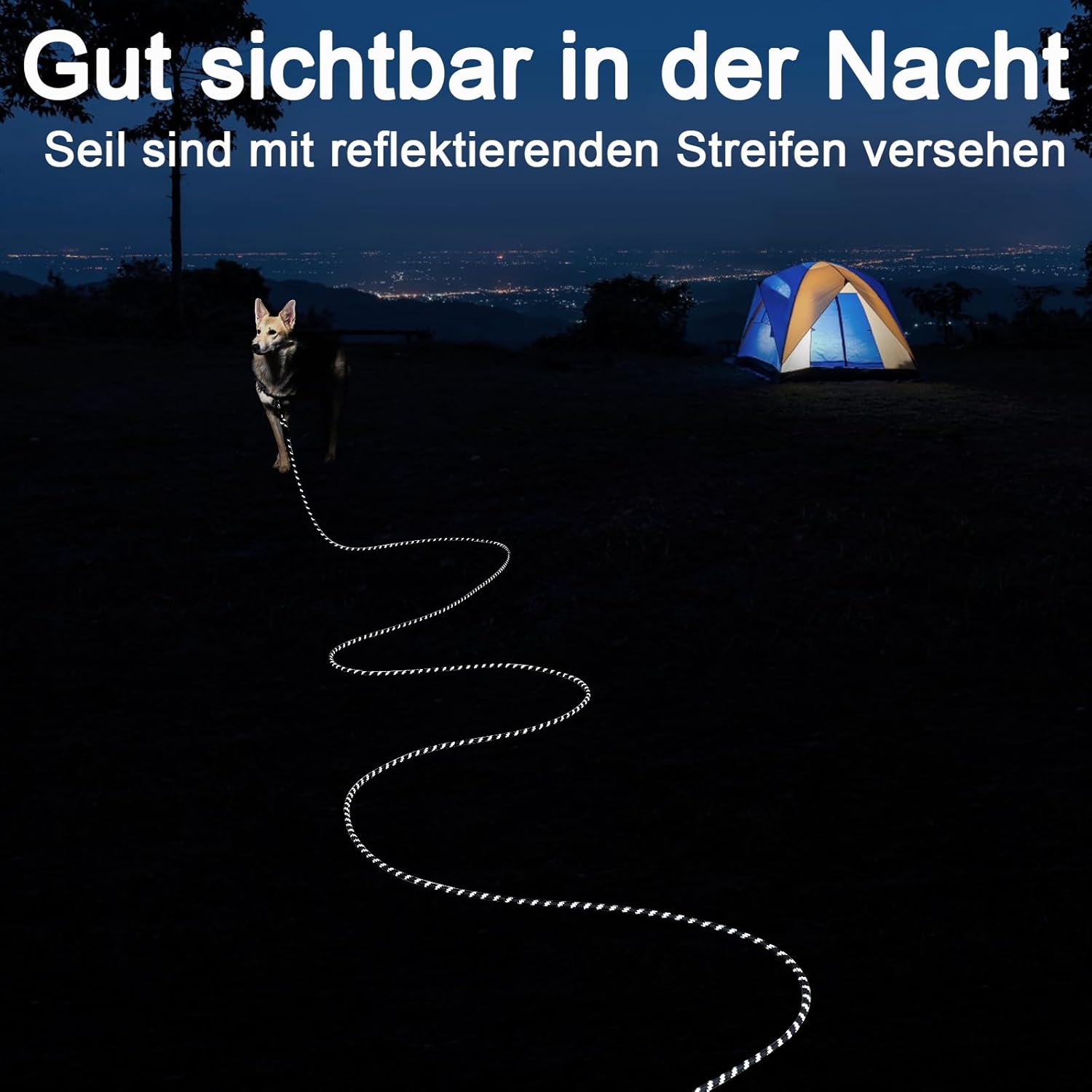 Thumbnail 6 de Schleppleine für Hunde 5 m mit Reflexion