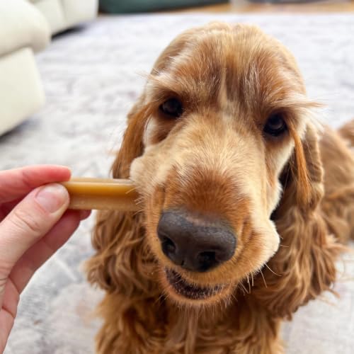 Thumbnail 10 de PEDIGREE DentaStix für mittelgroße Hunde (10–25 kg) — Zahnpflege-Snacks mit Huhn & Rind, 56 Stück
