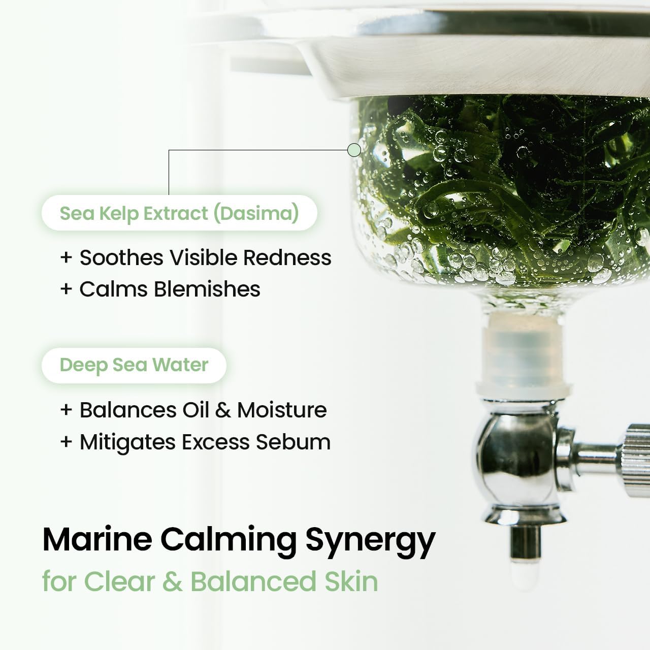 Thumbnail 3 de BIODANCE Refreshing Sea Kelp Real Deep Mask – Masque Hydrogel Calmant et Contrôle des Huiles