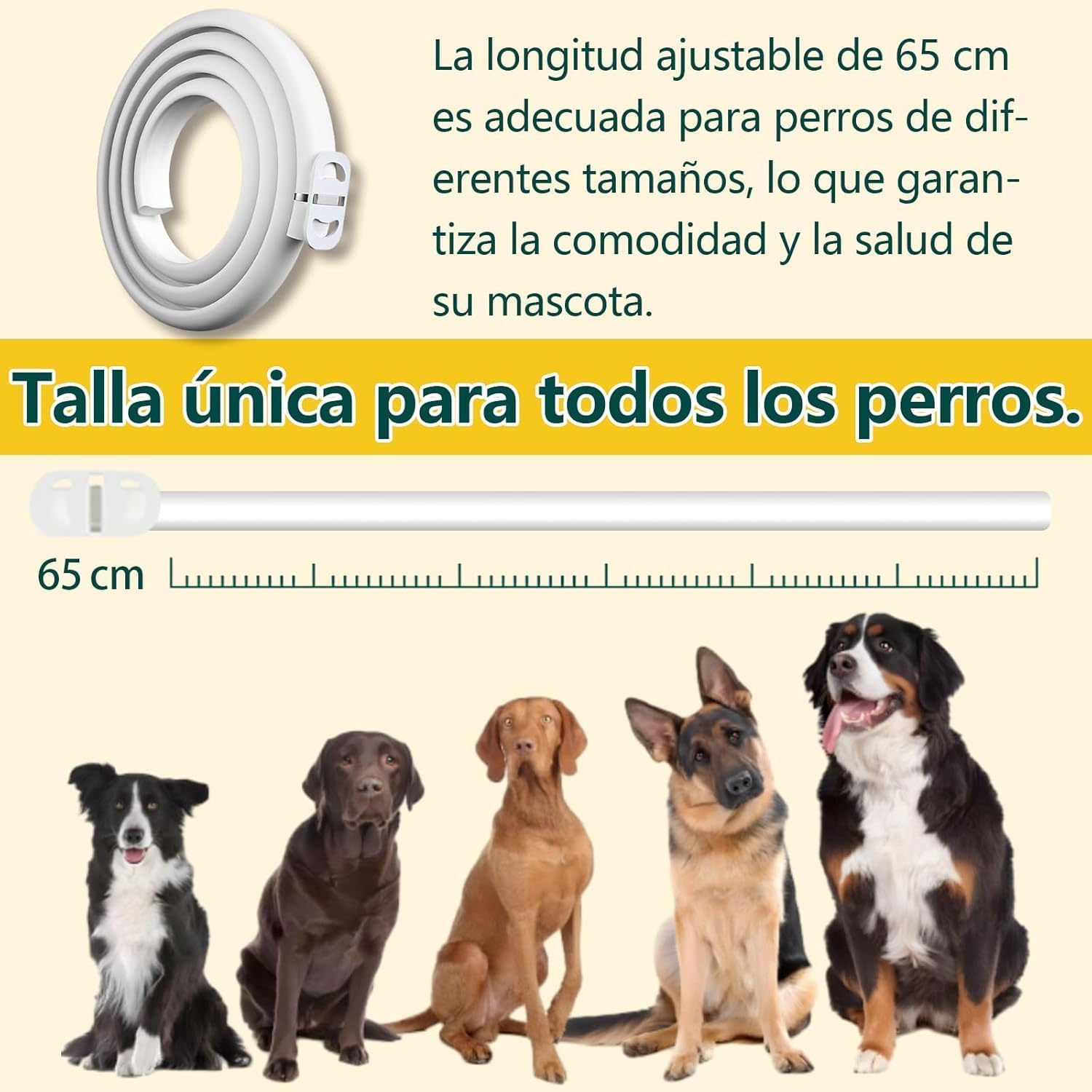 Detalle de Collar Antiparasitario para Perros Asticers (65 cm) – Protección de pulgas y garrapatas hasta 24 meses