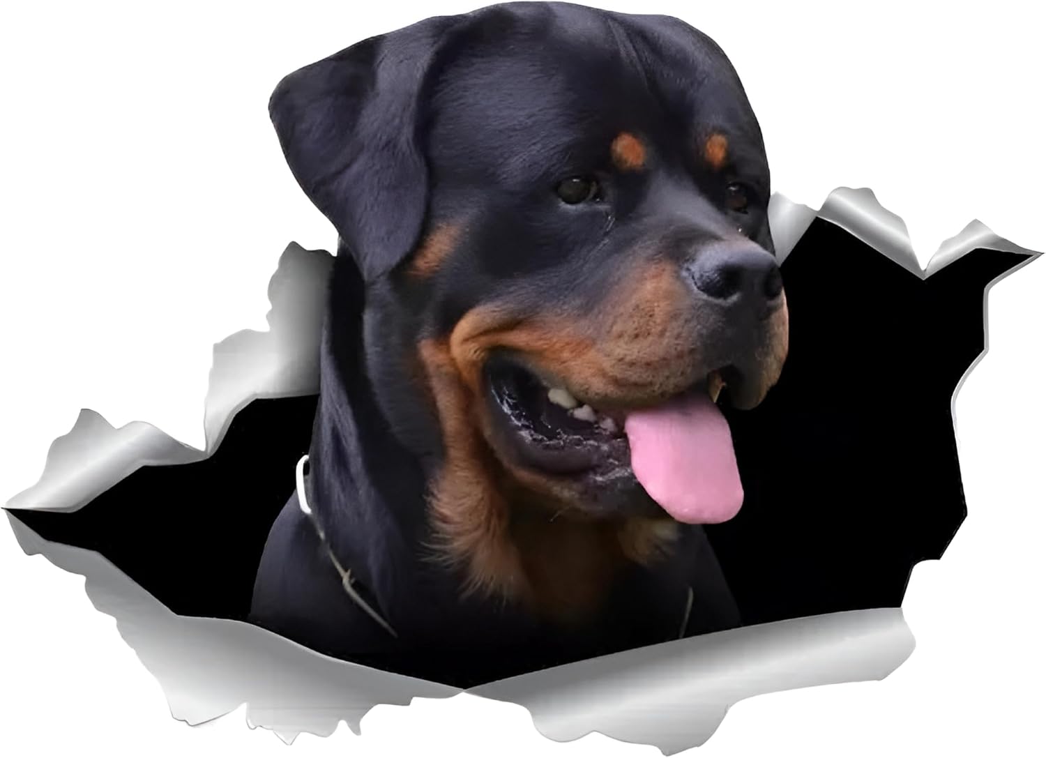 Rottweiler Autoaufkleber 18cm
