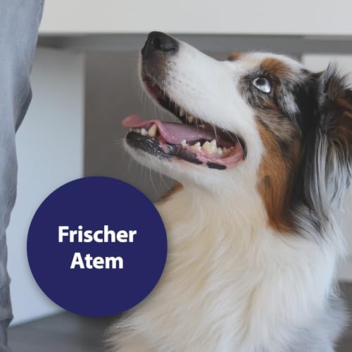 Detalle de Canosept Zahnpflege Finger-Pads für Hunde – 50 Stück