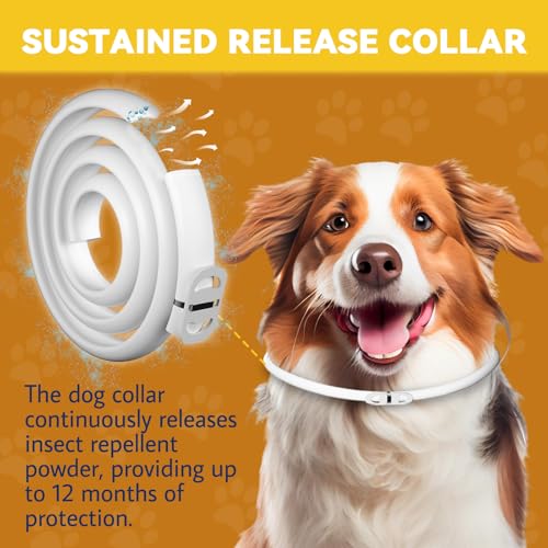 Thumbnail 4 de Inpumo Collar antiparasitario para perros: protección antipulgas y garrapatas hasta 10 meses, impermeable y ajustable