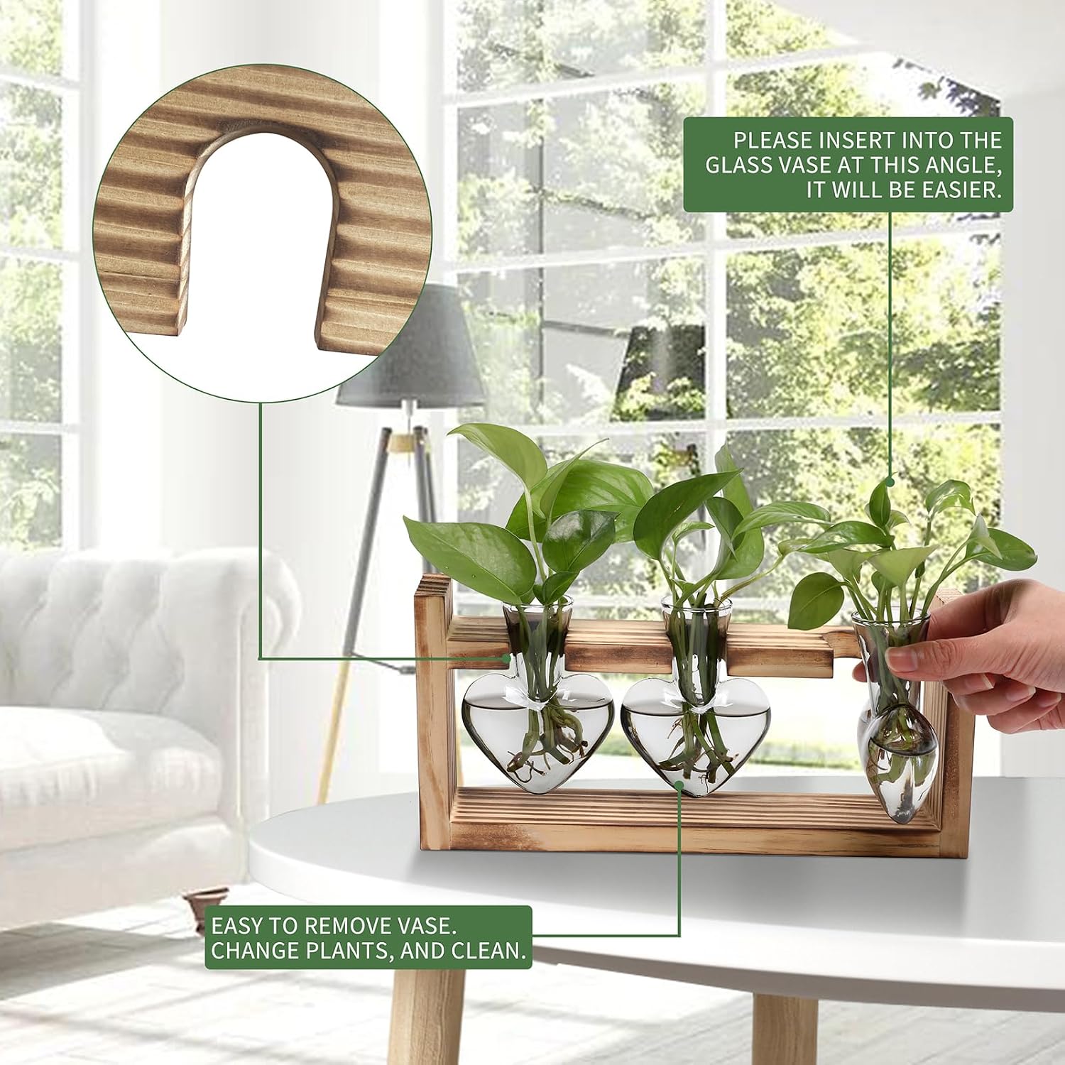 Detalle de Glass Plant Propagation Vases