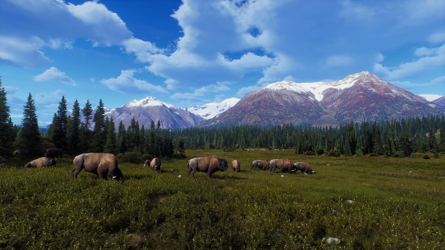 Detalle 2 de Way of the Hunter Wild Expeditions — Jagdsimulation