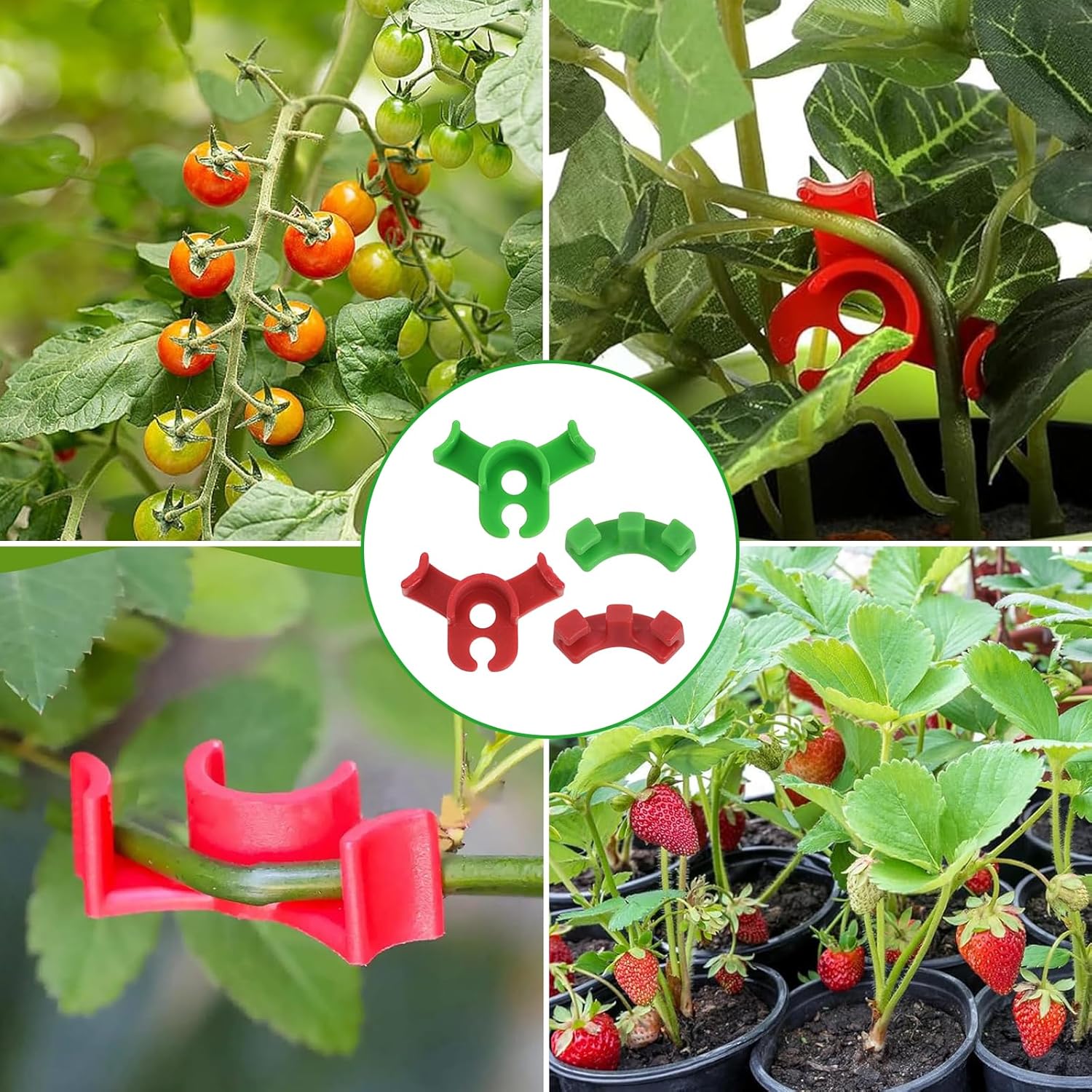 Thumbnail 6 de ZephyrCraft Pflanzenbieger-Clips (100 Stück) für 90° Low Stress Training – 30 große & 20 kleine in Rot & Grün