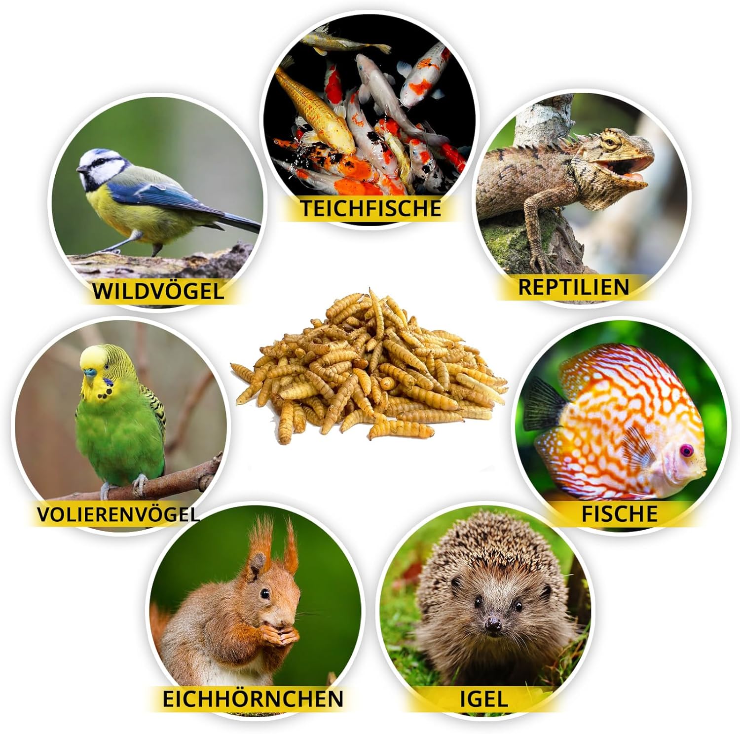 Detalle de Soldatenfliegenlarven getrocknet 1kg – proteinreicher Futterbestandteil für Tiere