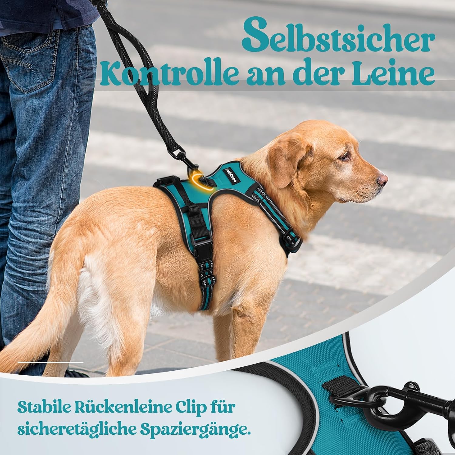 Thumbnail 6 de rabbitgoo Hundegeschirr Größe L – Anti-Zug, verstellbar mit Reflexstreifen und Kontrolle (blaugrün, L)