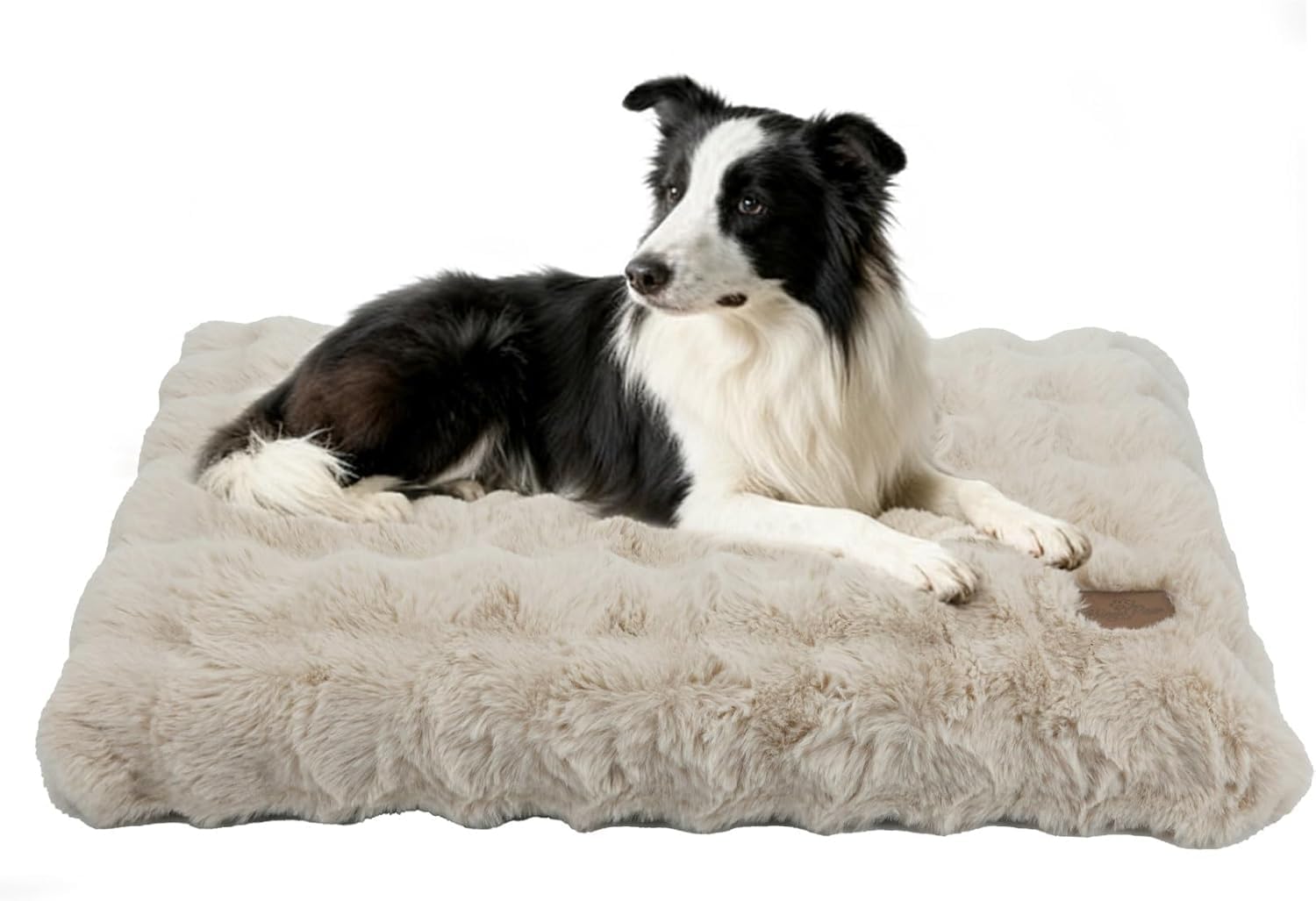 Detalle de BingoPaw Hundebett L 90x60x10 cm