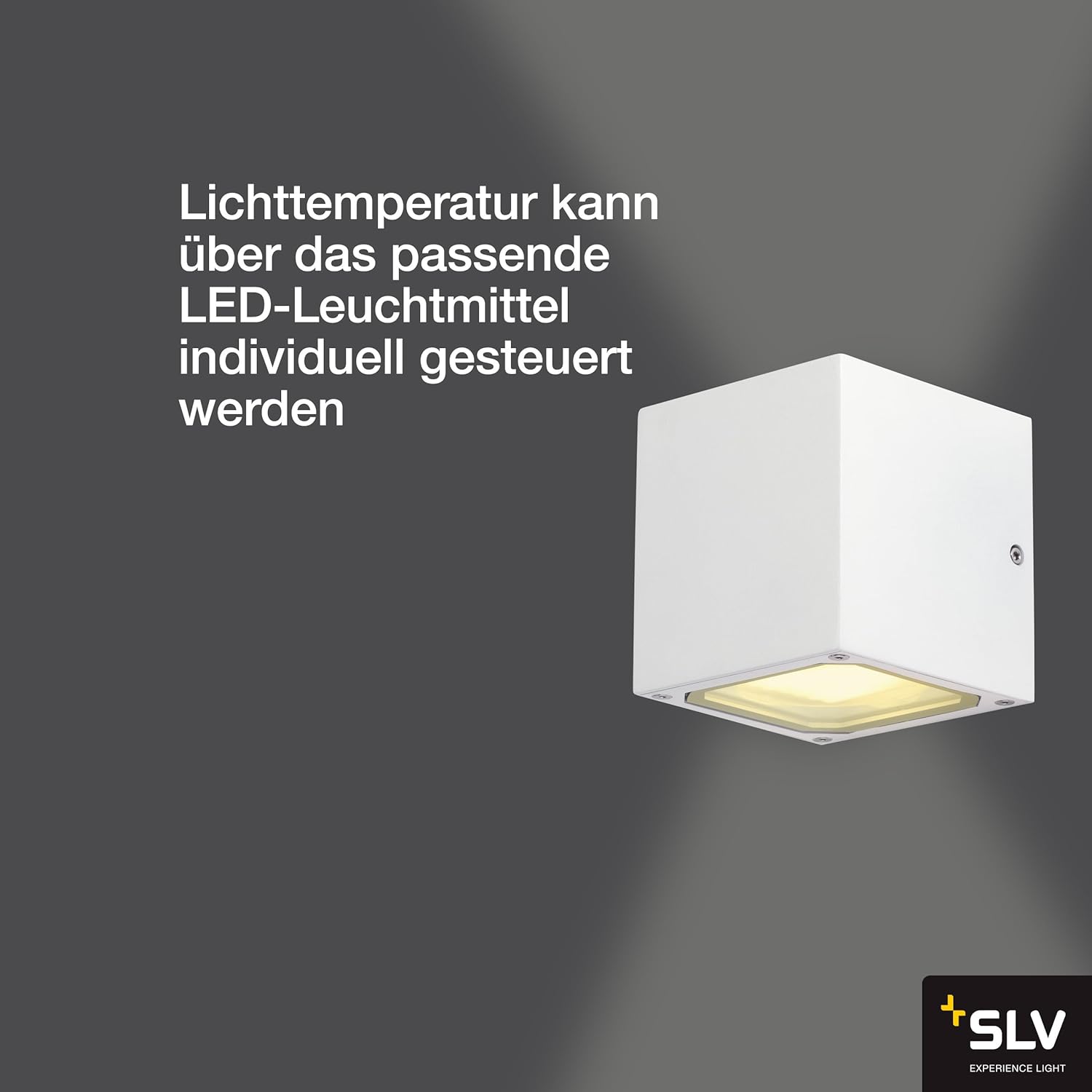 Detalle de SLV Applique murale Aluminium/verre Blanc GX53 230V