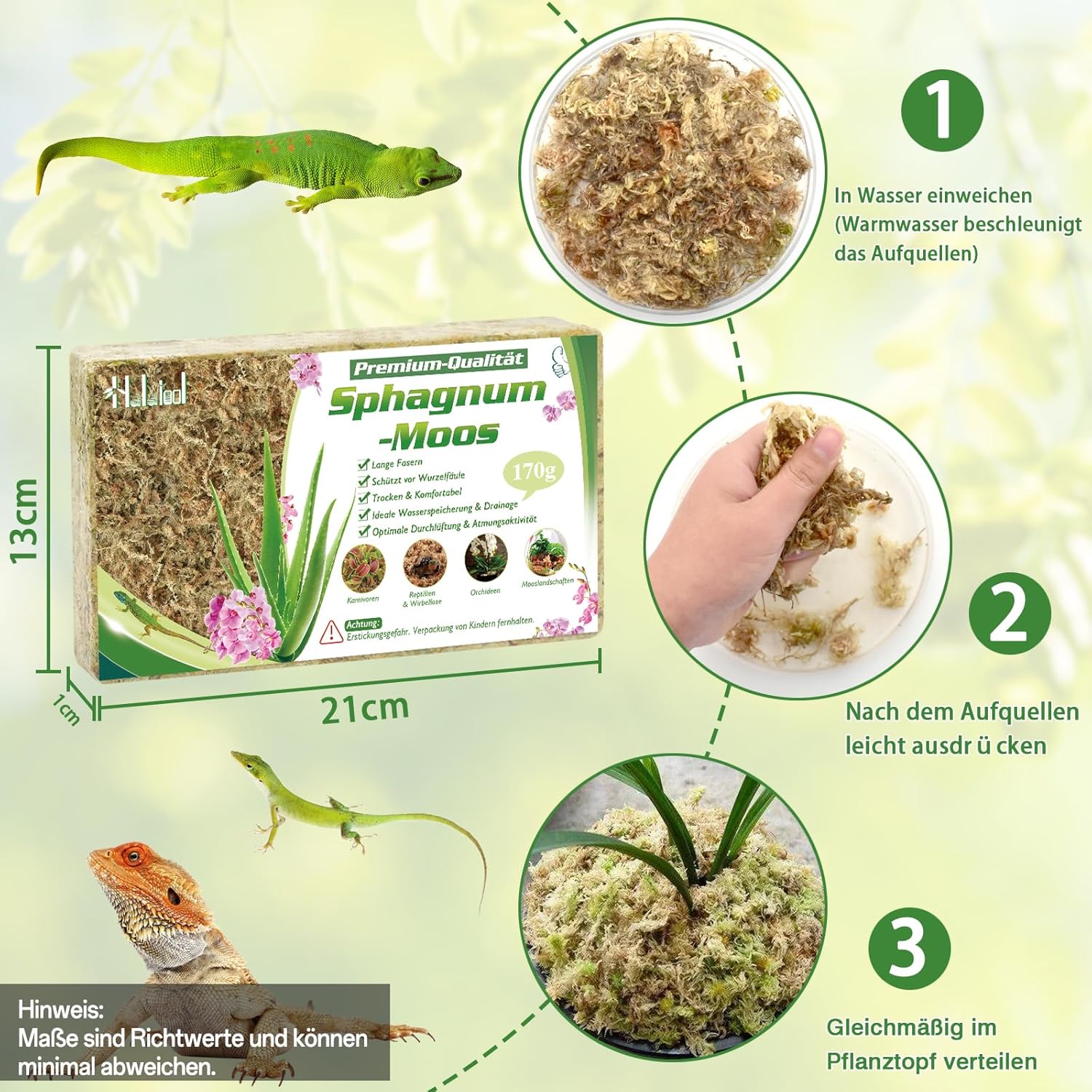 Detalle de Halatoo Sphagnum Moos 170 g für Orchideen und Pflanzen