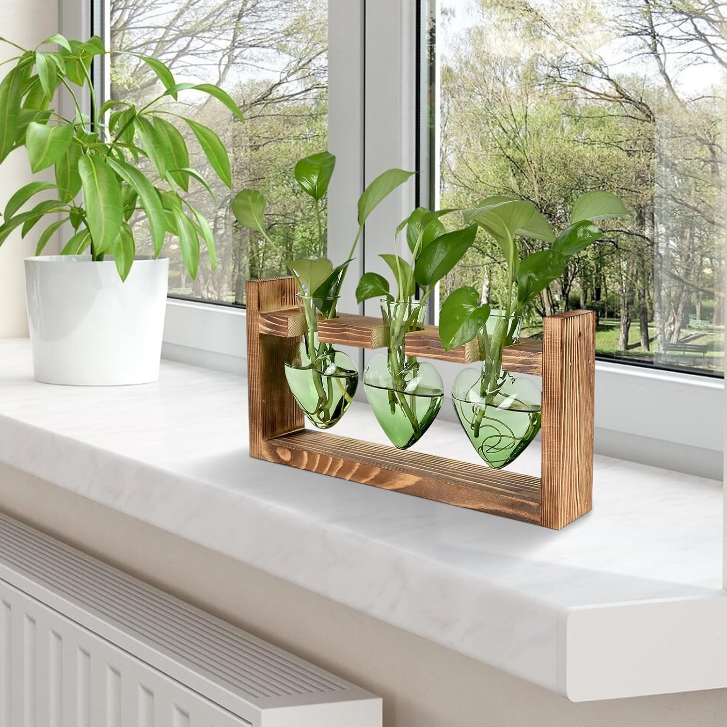 Thumbnail 5 de Heart-Shaped Glass Plant Propagation Station