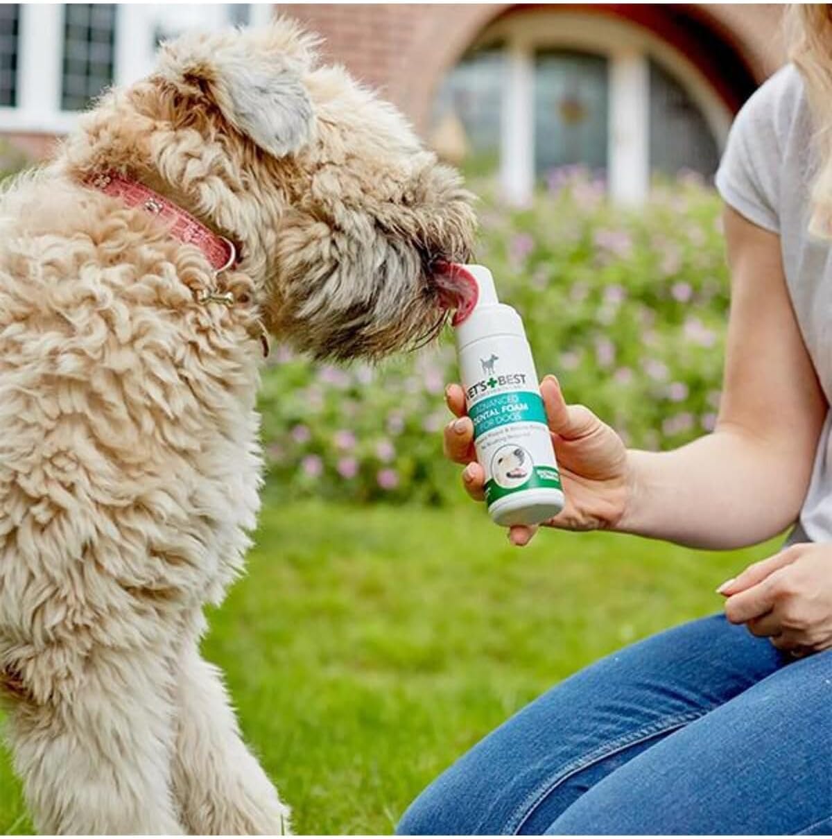 Detalle de Vet's Best Advanced Dental Foam für Hunde – 120 ml