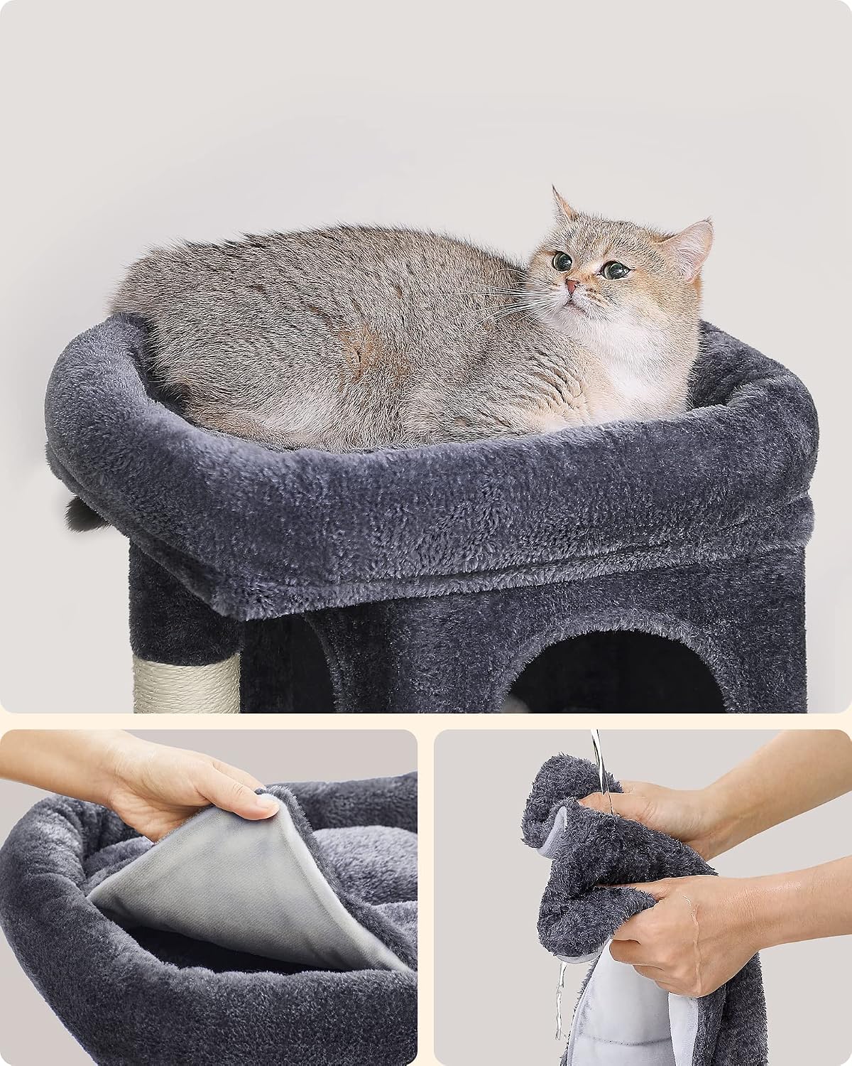 Thumbnail 2 de FEANDREA PCT611G01 Cat Tree, 65 cm, Two Caves and Large Perch