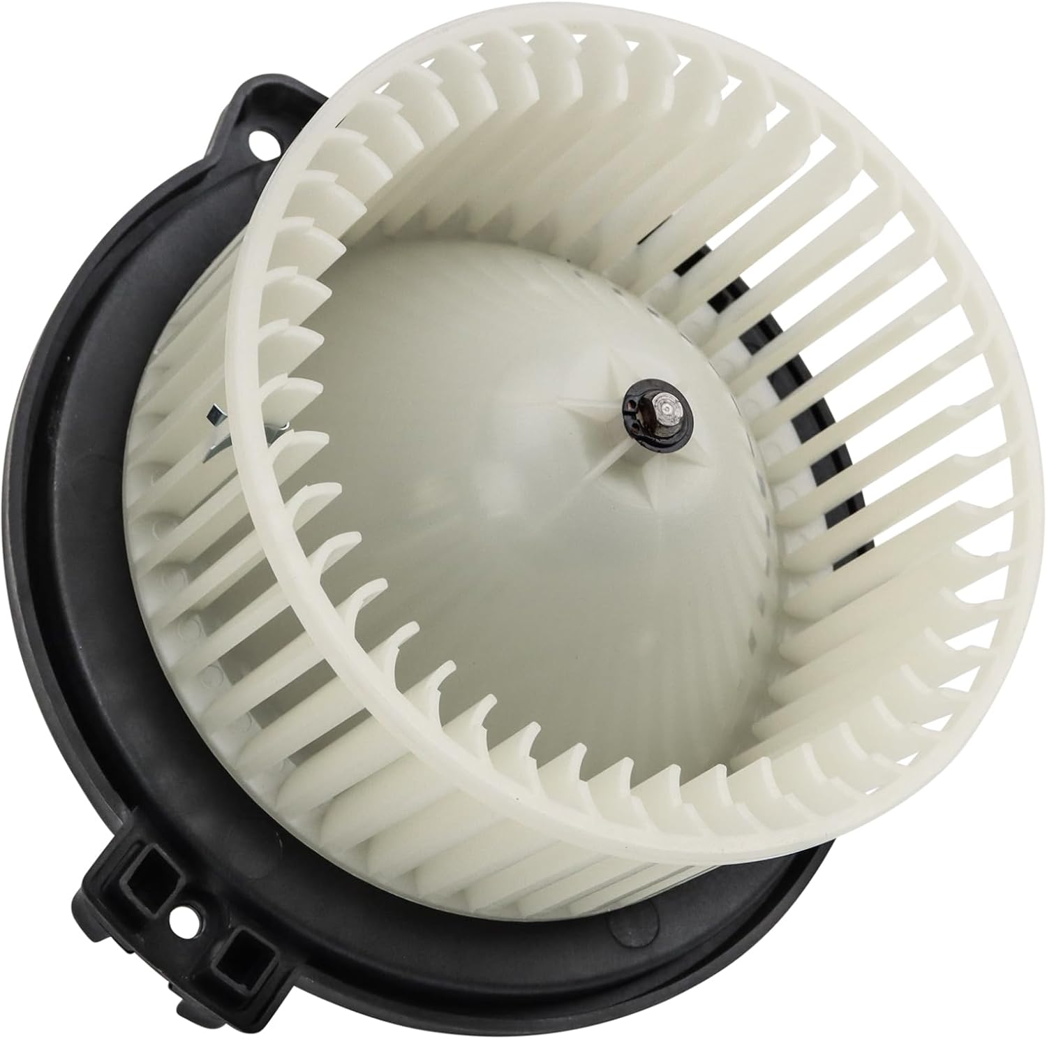 Detalle de TRQ Heater Blower Motor with Cage