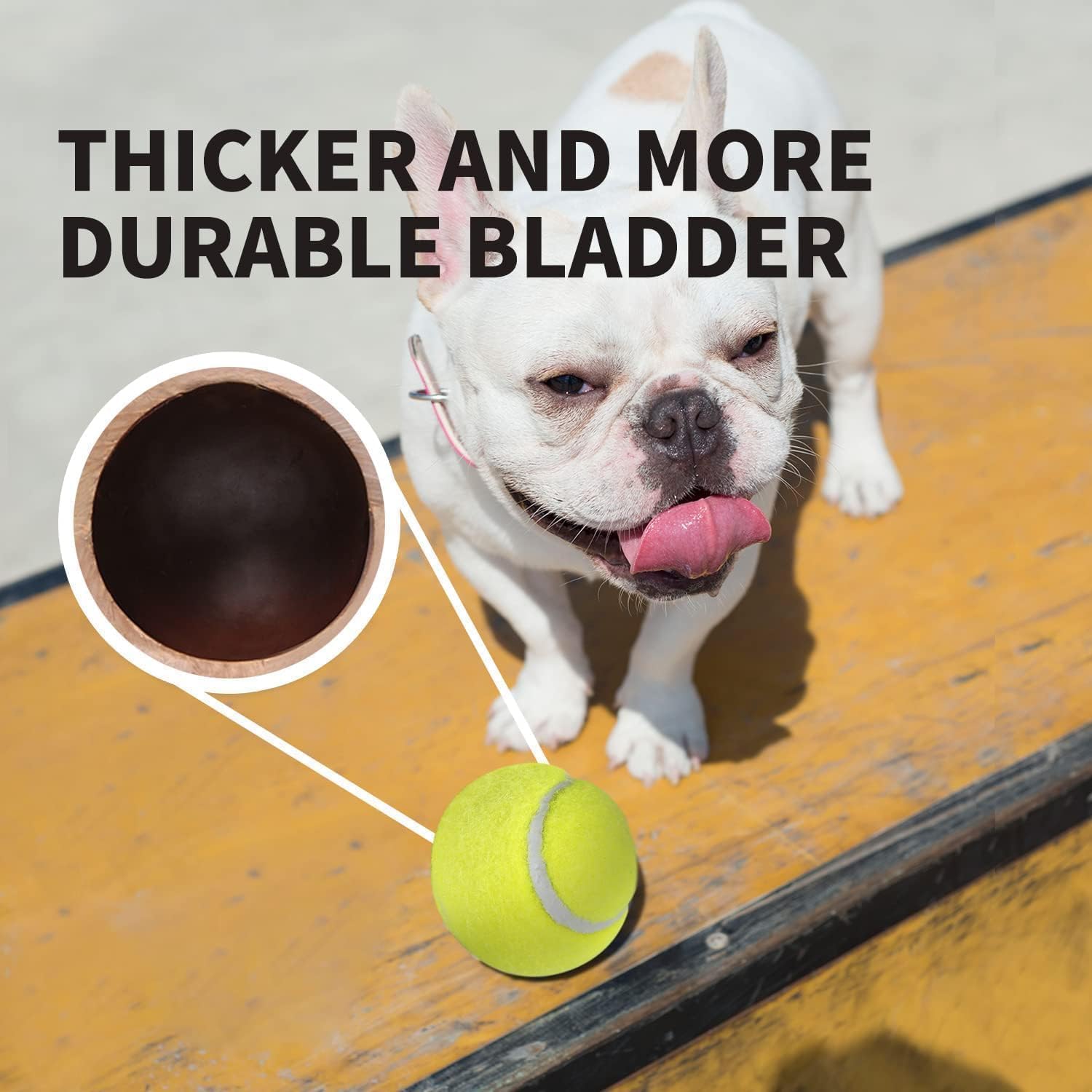Detalle de ALL FOR PAWS Interactive Hyper Fetch Super Bounce Tennis Balls – Mini 6 Pack