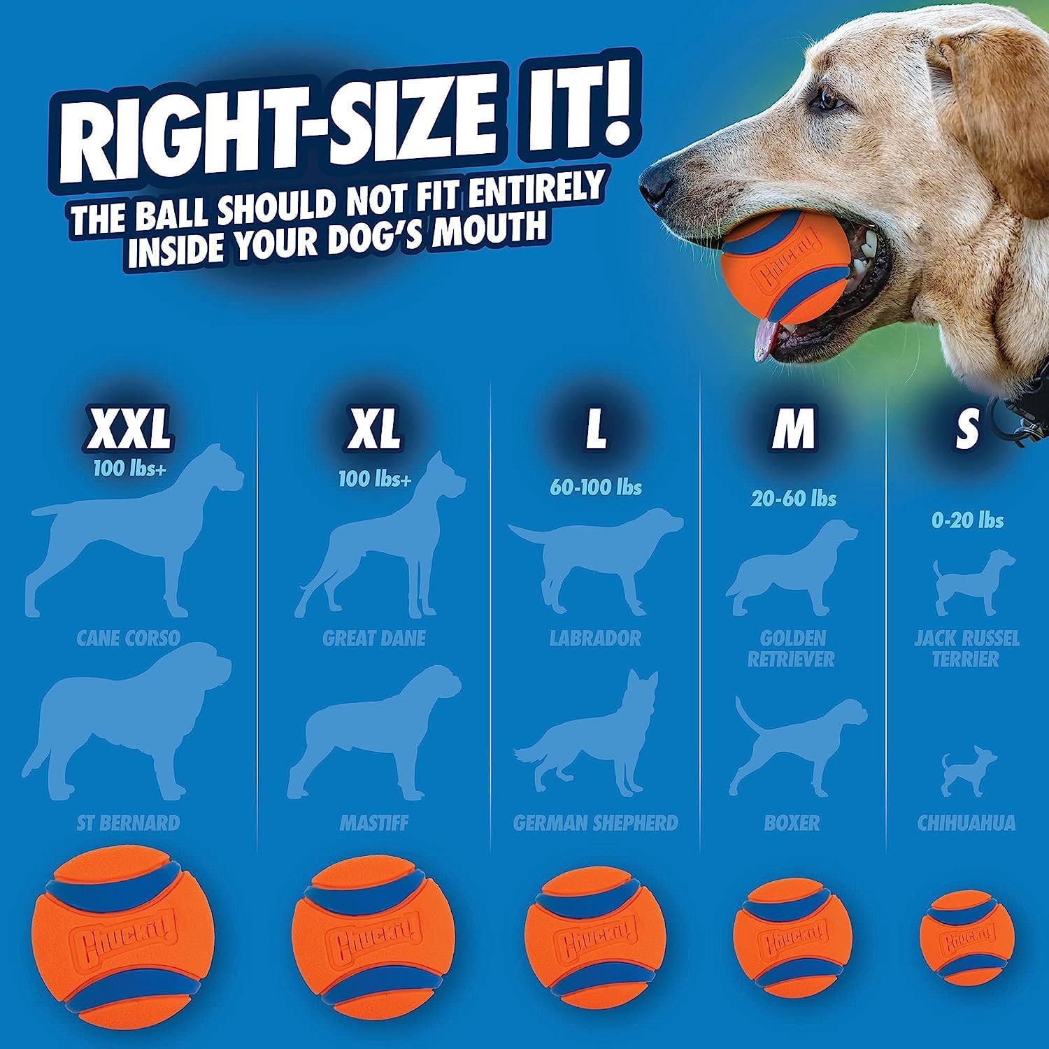Detalle de Chuckit! Ultra Tug Dog Toy – Small 4.8 cm Rubber Tug & Fetch Toy (Pack of 1)
