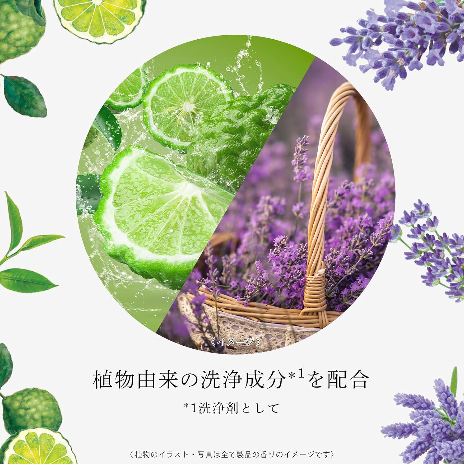 Detalle de ミューズ ボタニカル ラベンダー 固形せっけん 4個セット|ラベンダー&ムスクの香り