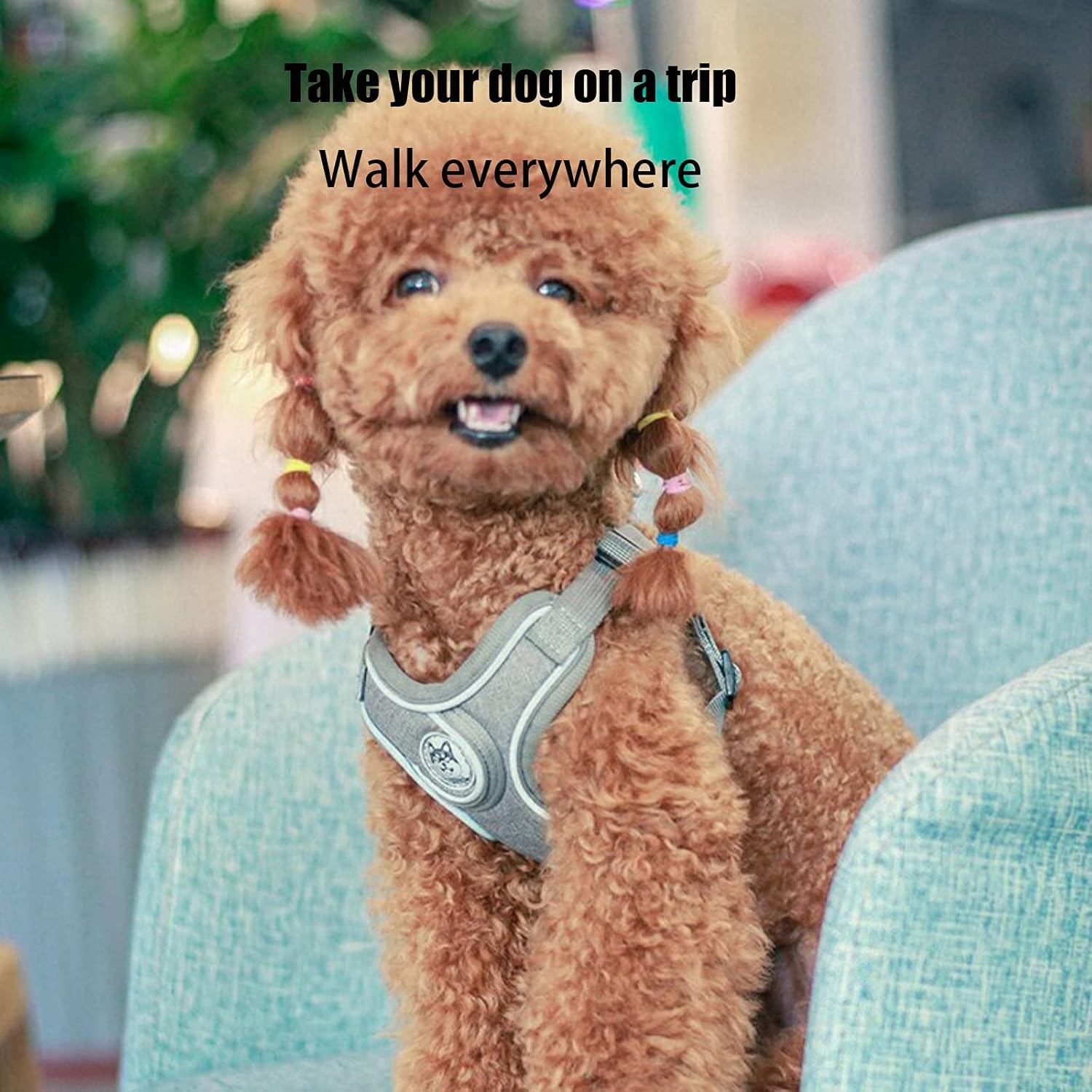 Thumbnail 2 de SKXEO Small Dog No Pull Harness & 150cm Lead Set – breathable, reflective and adjustable