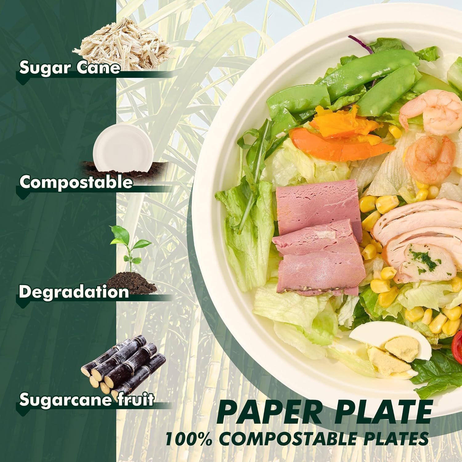 Detalle 2 de CELLURA 10 Inch 150 Pack Compostable Plates: Heavy-Duty, Microwave-Safe Sugarcane Fiber Disposables