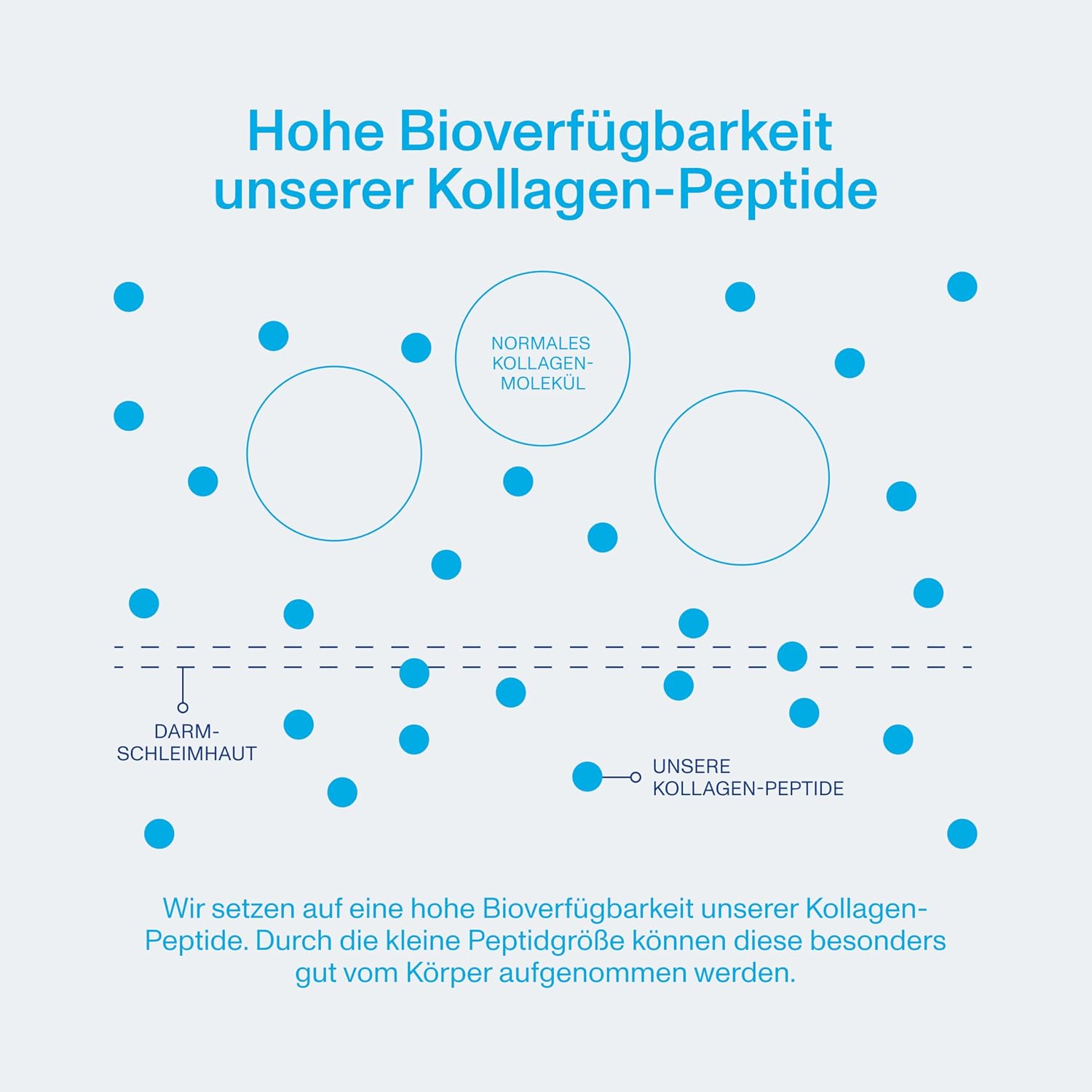 Detalle de Vital Proteins Collagen Peptides 264 g – reine Kollagen-Peptide (Typ 1 & 3), geschmacksneutral