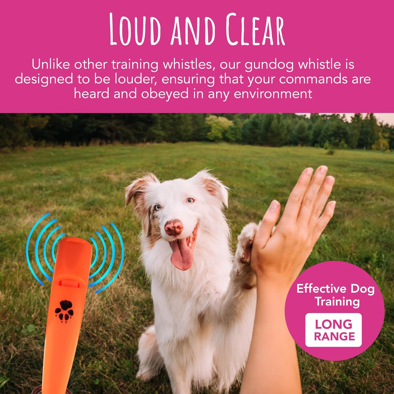 Detalle de TDL Gun Dog Training Whistle with Lanyard – Loud, Far-Reaching Recall for Most Breeds