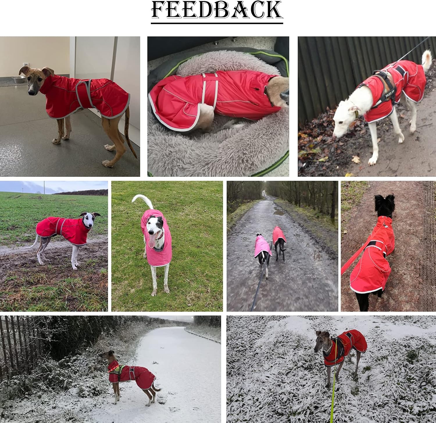 Detalle de Greyhound Winter Coat: Red XXLarge with Padded Fleece Lining and Reflective Trim