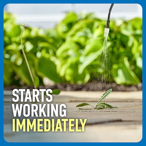 Thumbnail 3 de Roundup Weed & Grass Killer4 with Pump 'N Go 2 Sprayer, 1.33 gal