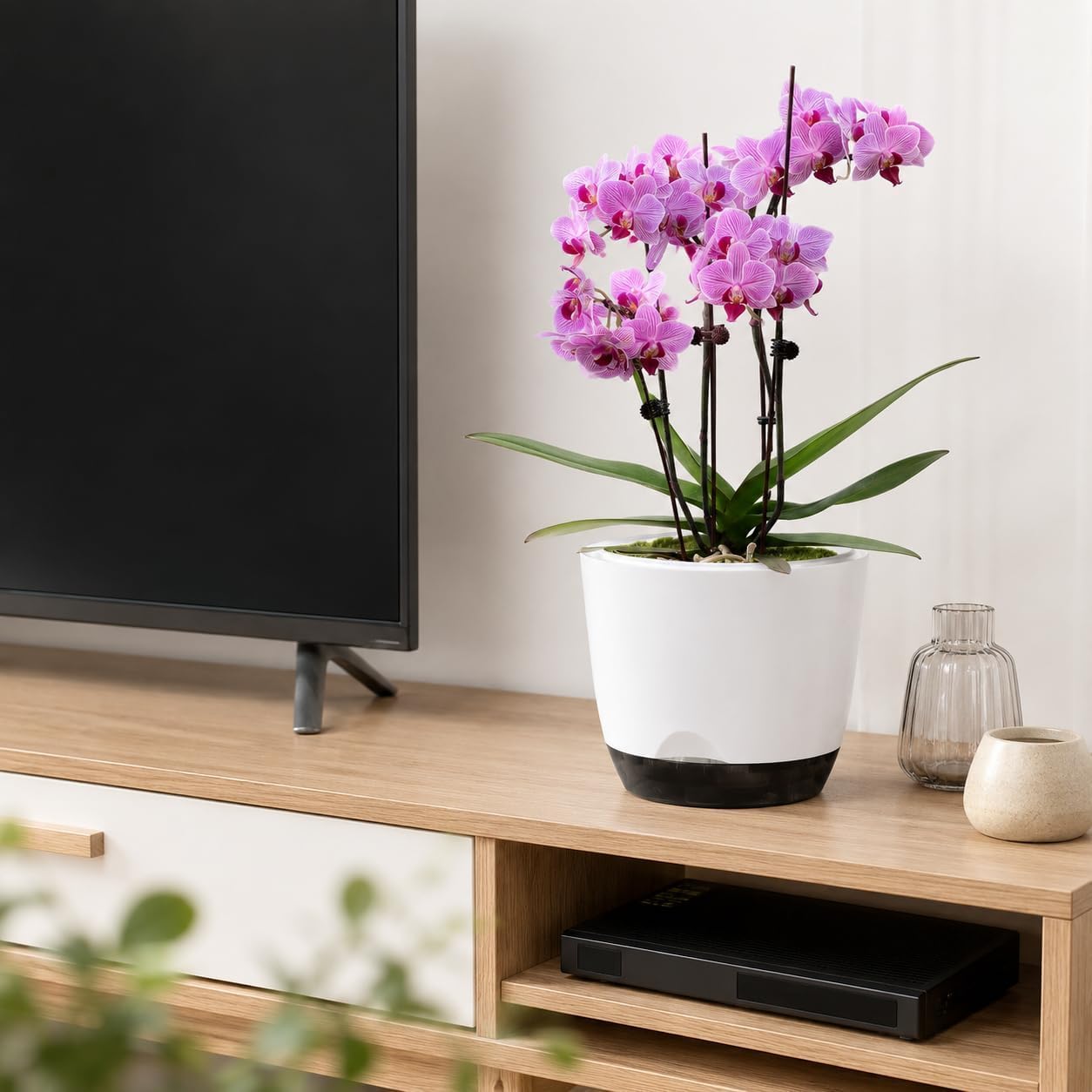 Detalle de QCQHDU orchid pots 2 pack, 5.8 in