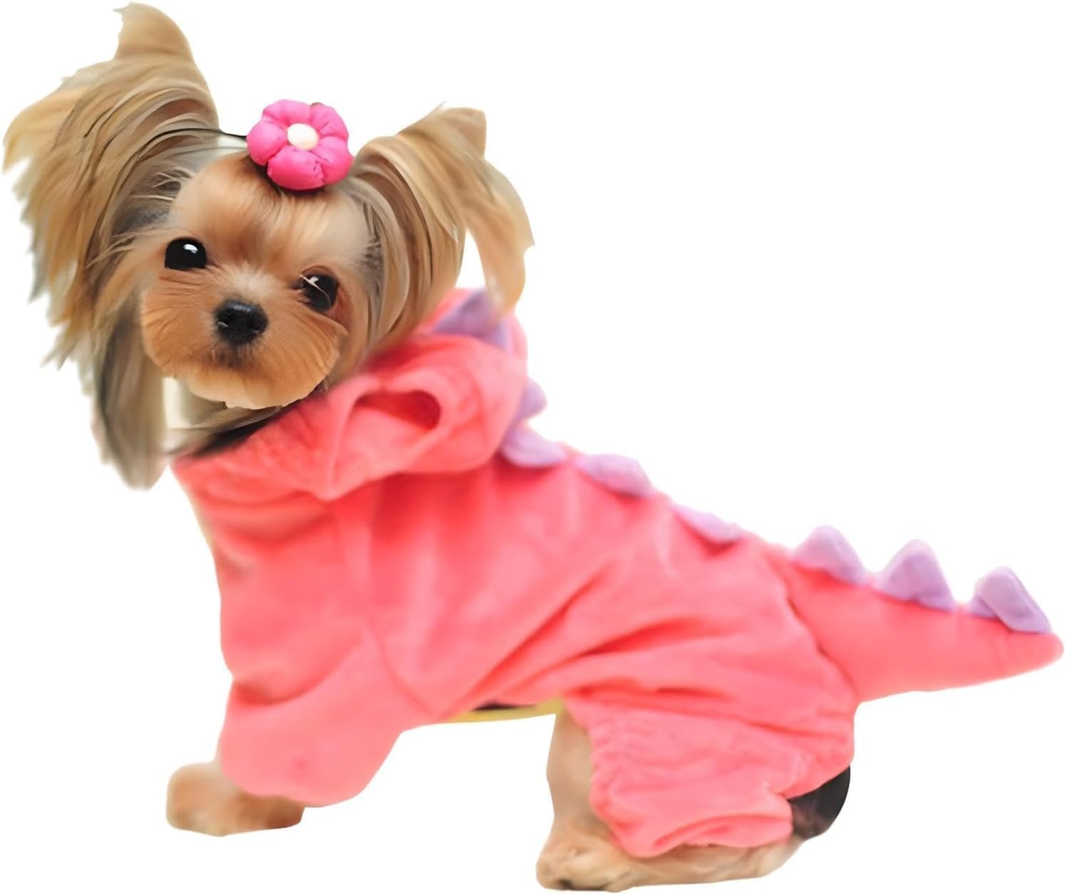 Thumbnail 6 de NACOCO Dog Costume Size S