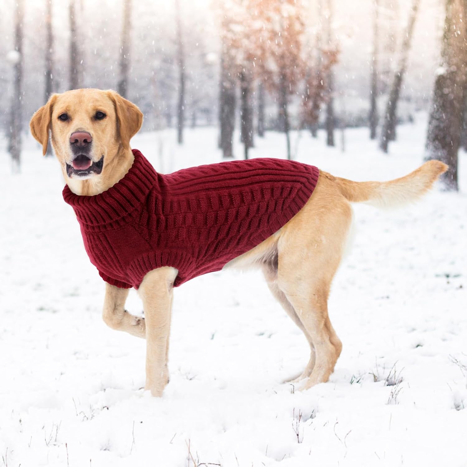 Detalle de CITÉTOILE Hundepullover mit Rollkragen, ärmellos, warmer Strickpullover mit Leinenloch – Rot, XL