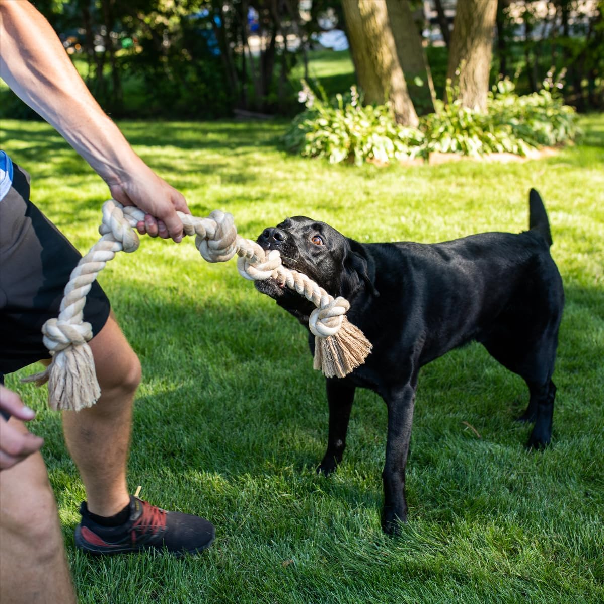 Thumbnail 4 de Fida Hundespielzeug aus Seil 91 cm für große Hunde