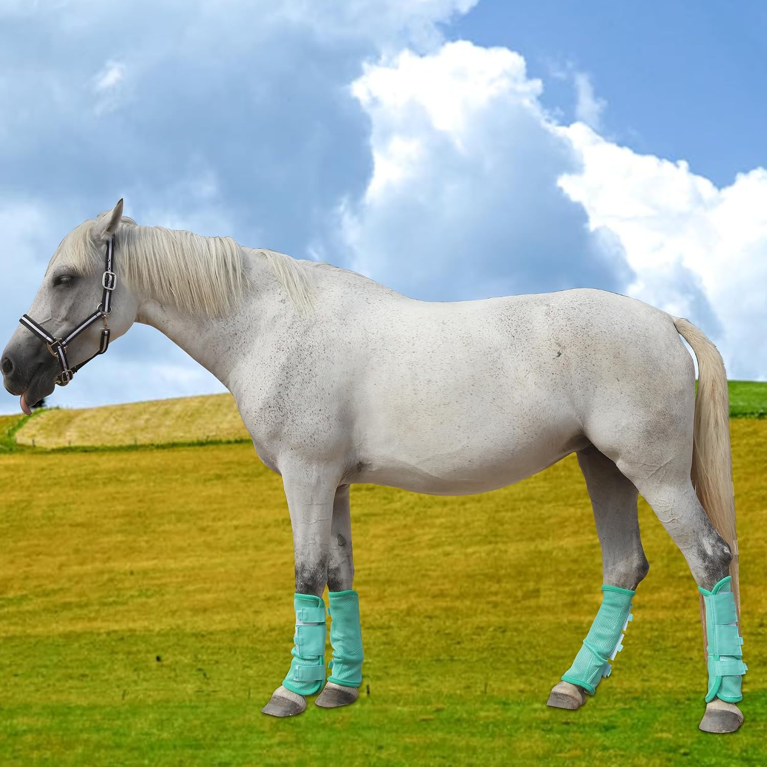 Thumbnail 3 de Gallopoff Horse Fly Boots Set of 4 – Breathable Mesh Leg Guards for Fly Protection