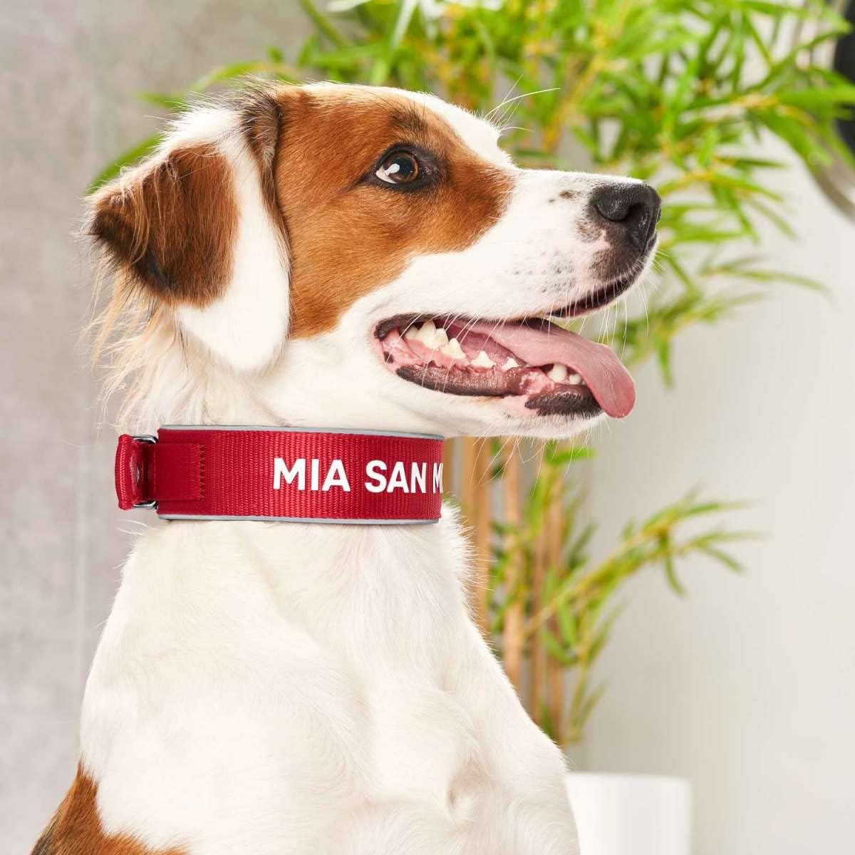 Thumbnail 6 de Hunter Neopren Reflect FC Bayern München Hundehalsband, M-L (55), rot/grau