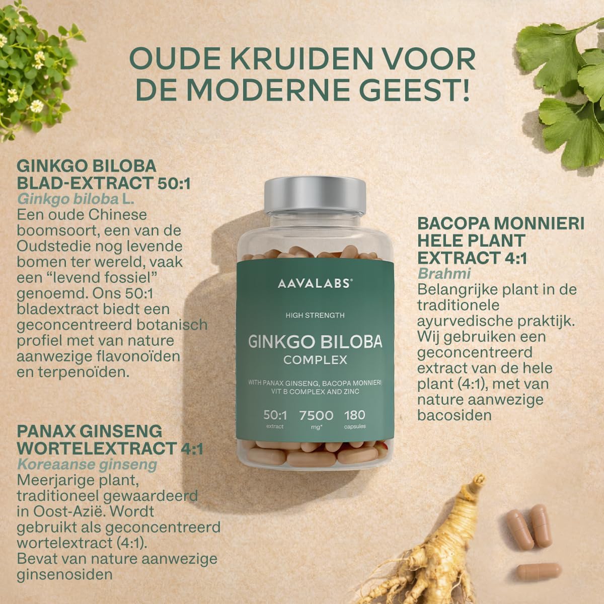 Detalle 2 de AAVALABS Ginkgo Biloba Complex, 50:1-extract, 180 veganistische capsules
