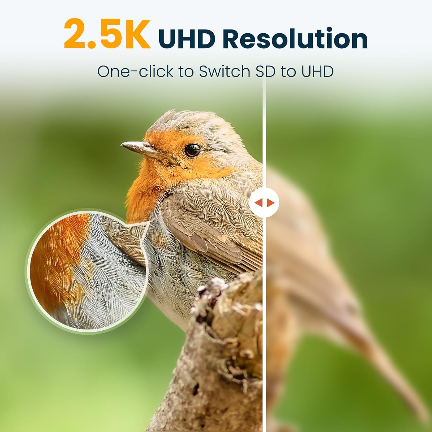Thumbnail 6 de Smart Bird Feeder with Camera: 2.5K UHD, Solar Powered, IP66 Outdoor Ready
