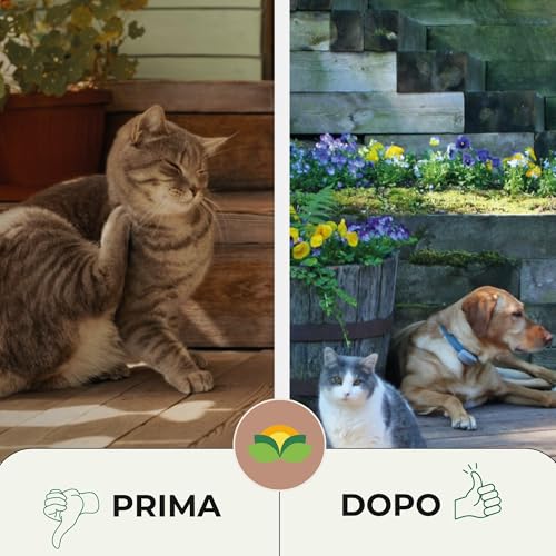 Thumbnail 4 de Albagarden - Insetticida Zanzare Giardino Concentrato 1 Litro: protezione 360° per esterno e interno
