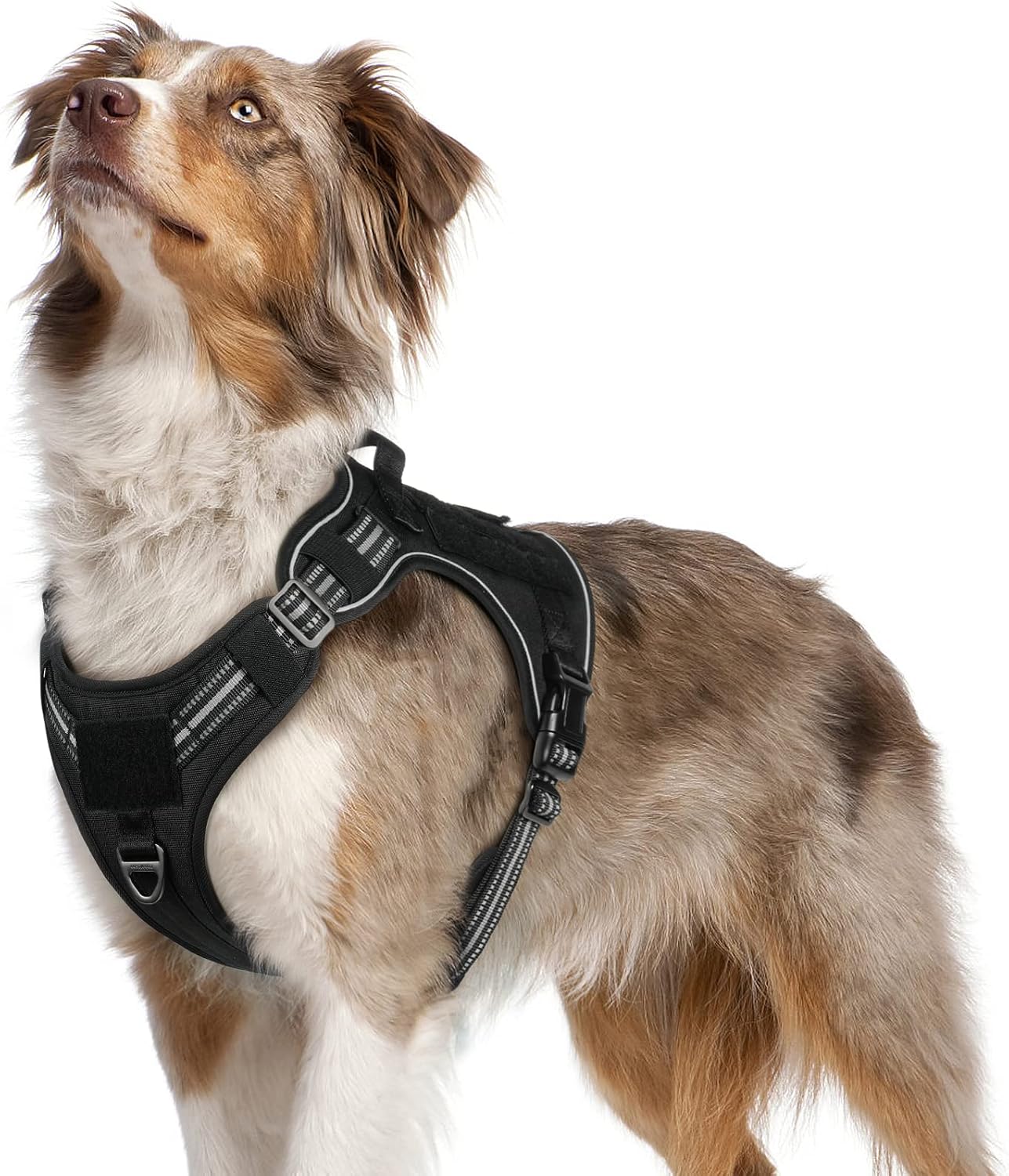 Detalle de rabbitgoo Tactical Dog Harness with Molle, Medium