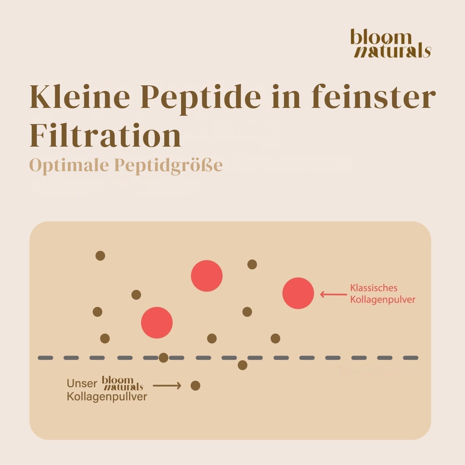 Thumbnail 3 de Grassgefüttertes Collagen Pulver 500g