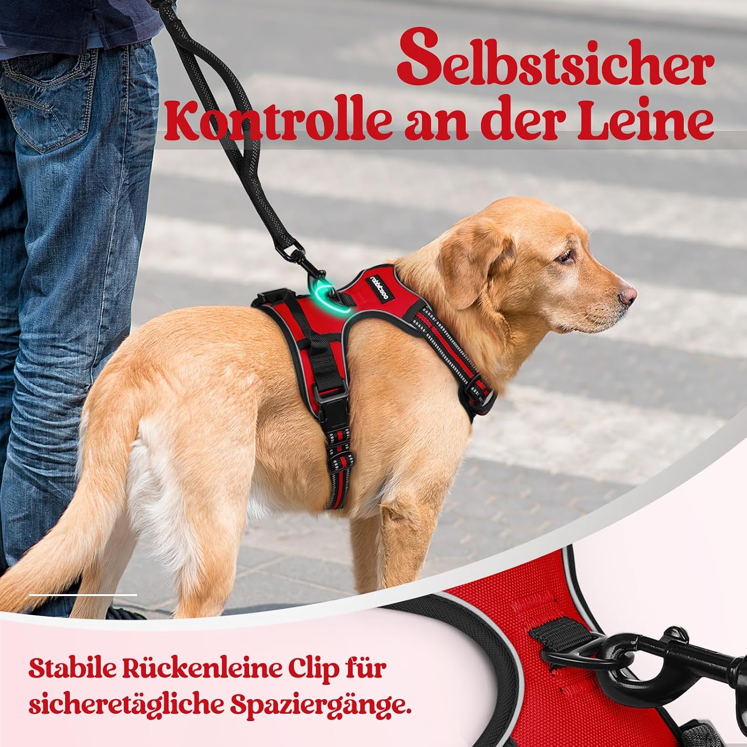 Thumbnail 6 de Rabbitgoo Hundegeschirr Größe M – Anti-Zug, verstellbar, reflektierend, für mittelgroße Hunde