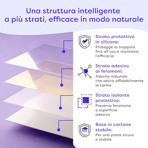 Thumbnail 6 de Wolkenfeld Trappole Farfalline Alimentari Adesive 12x – Monitoraggio Naturale in Dispensa