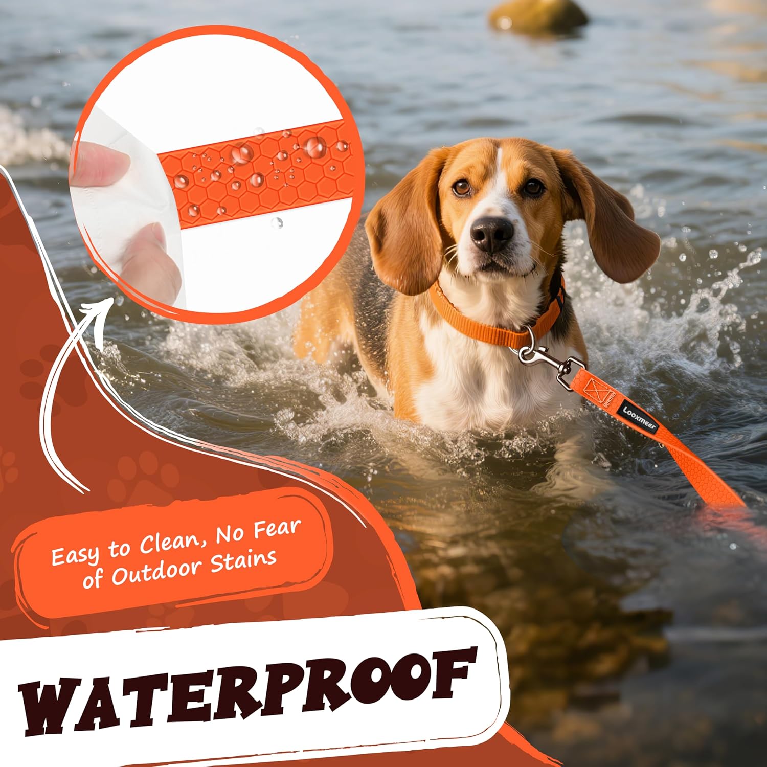 Thumbnail 4 de Looxmeer Training Lead 10m waterproof leash 🐕