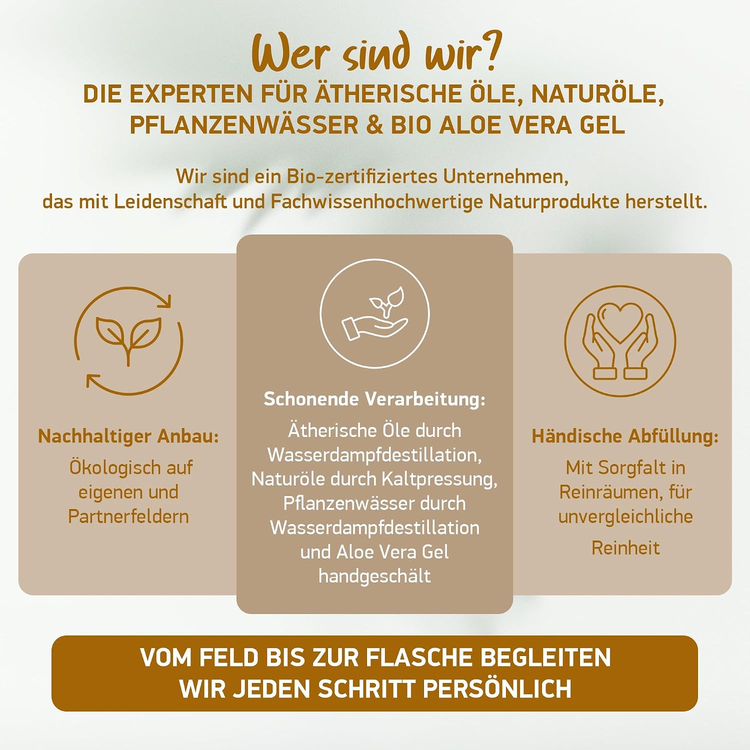 Detalle de Soena® Aloe Vera Gel mit 100% BIO Aloe Vera (96% Aloe, ohne Alkohol & Duftstoffe) – Feuchtigkeitspflege, 250 ml