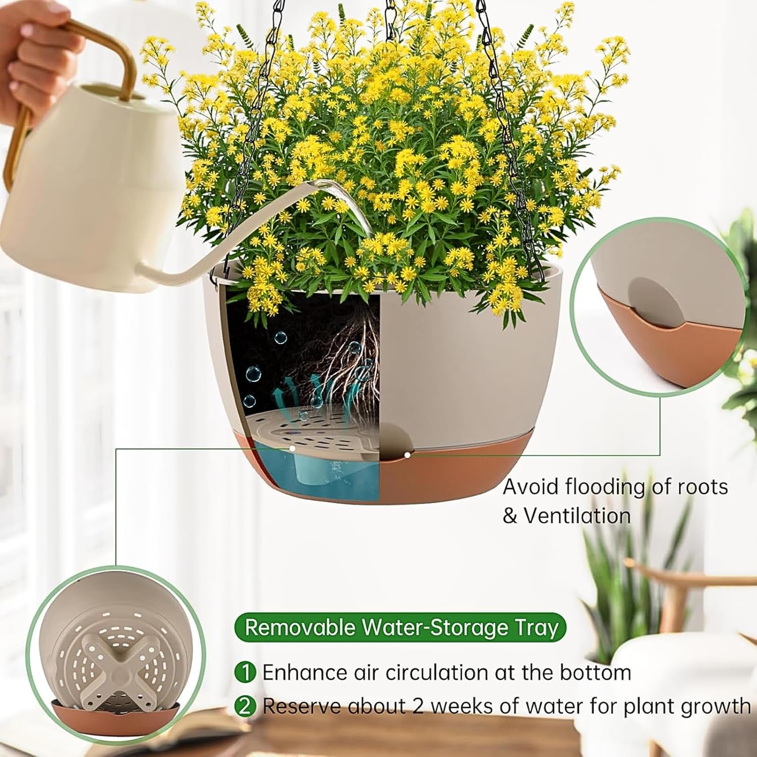 Detalle de Kvetto Hanging Planters, 10-Inch