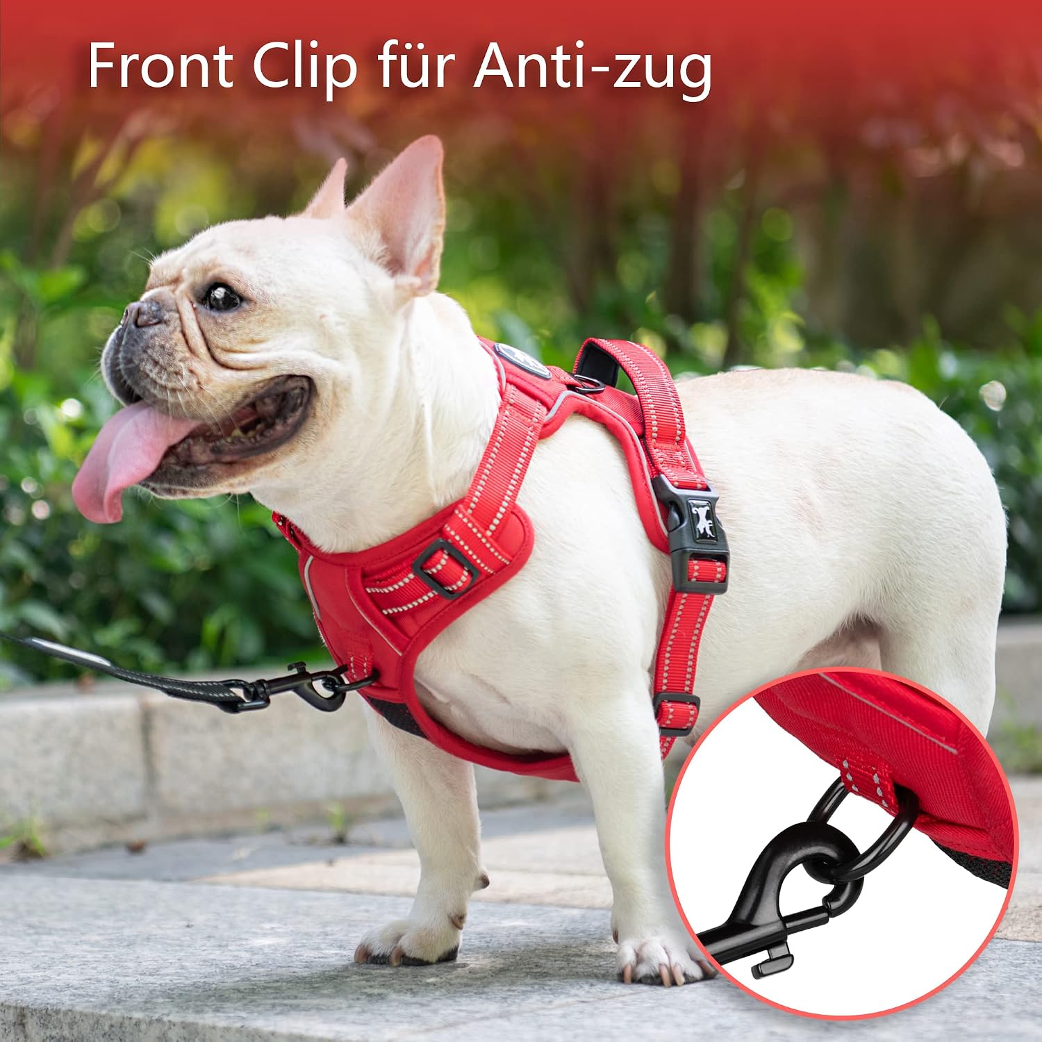 Detalle de PoyPet Hundegeschirr ohne Zug mit Reflexion, weich gepolstert und verstellbar (Rot, Größe M)