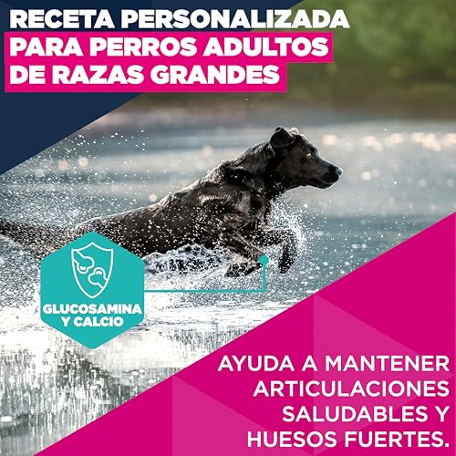 Detalle de Eukanuba Alimento Seco Premium para Perros Adultos de Razas Grandes (Pollo Fresco) – 15 kg