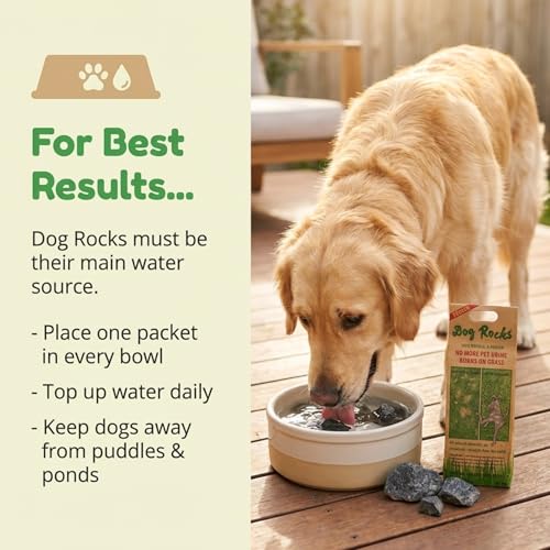 Detalle de Dog Rocks Urine Patch Preventer (200g) – Natural Urine Burn Patch Repair for Lawns